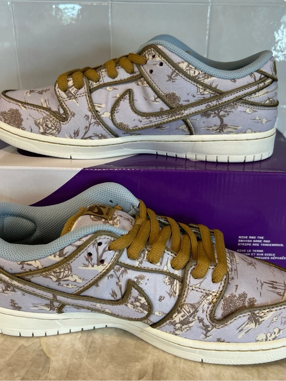 Nike SB Dunk Low (City of Style)